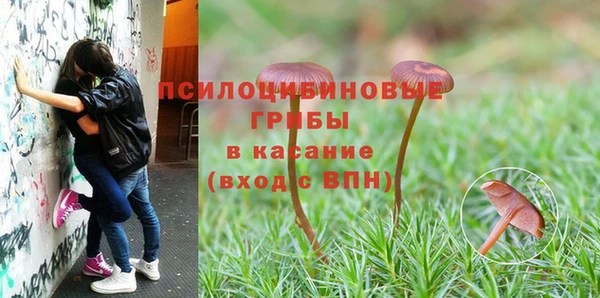 прущая мука Бугульма