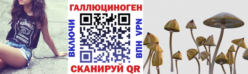 Галлюциногенные грибы мицелий  Гаврилов Посад 